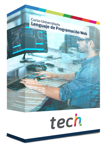 curso programacion web