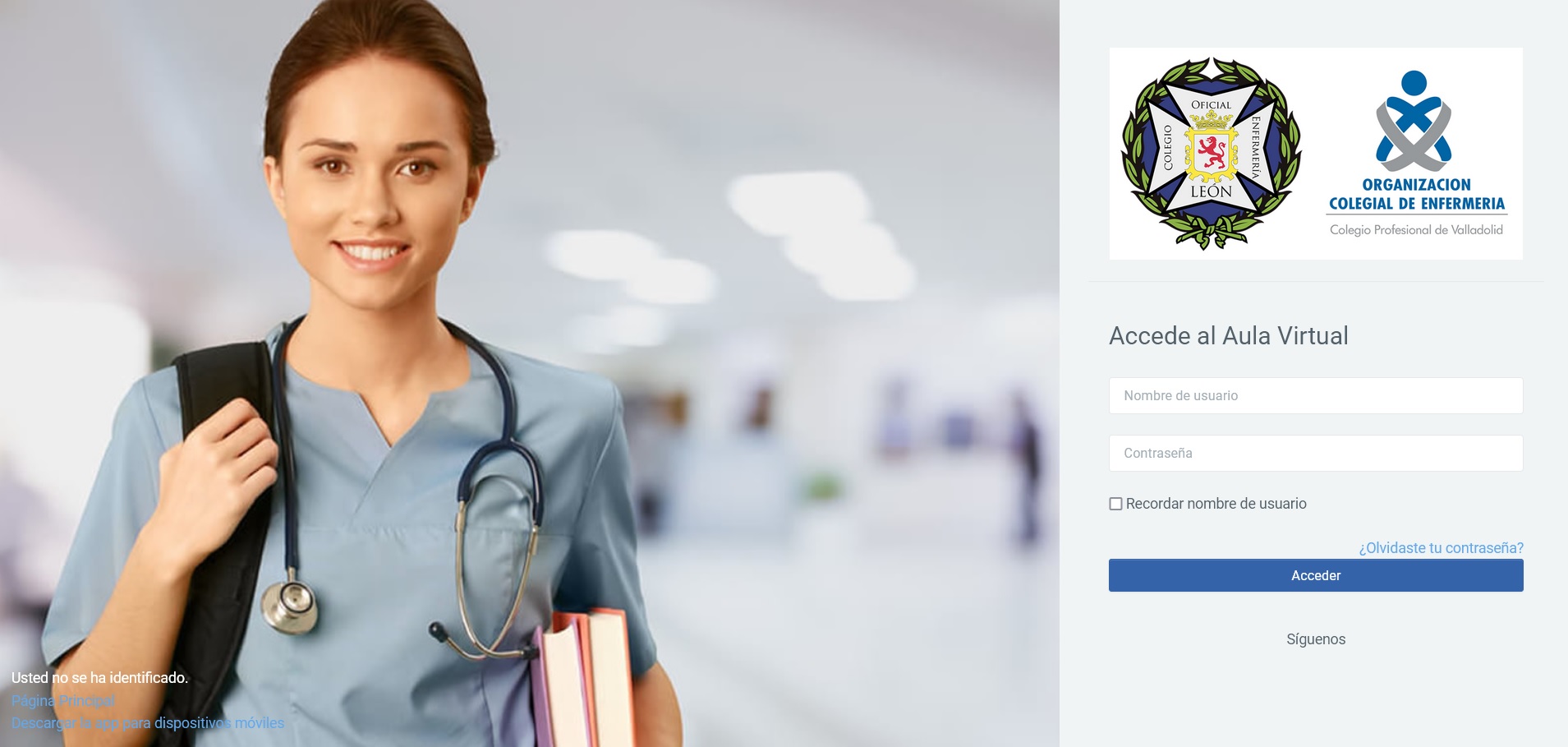 curso de enfermeria online